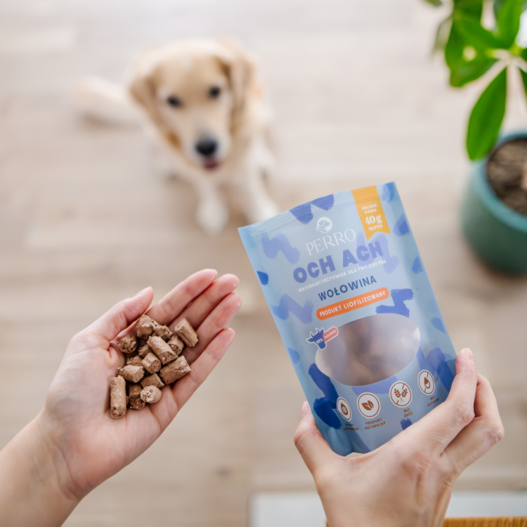 c4539451077110e4273fc930edac2826