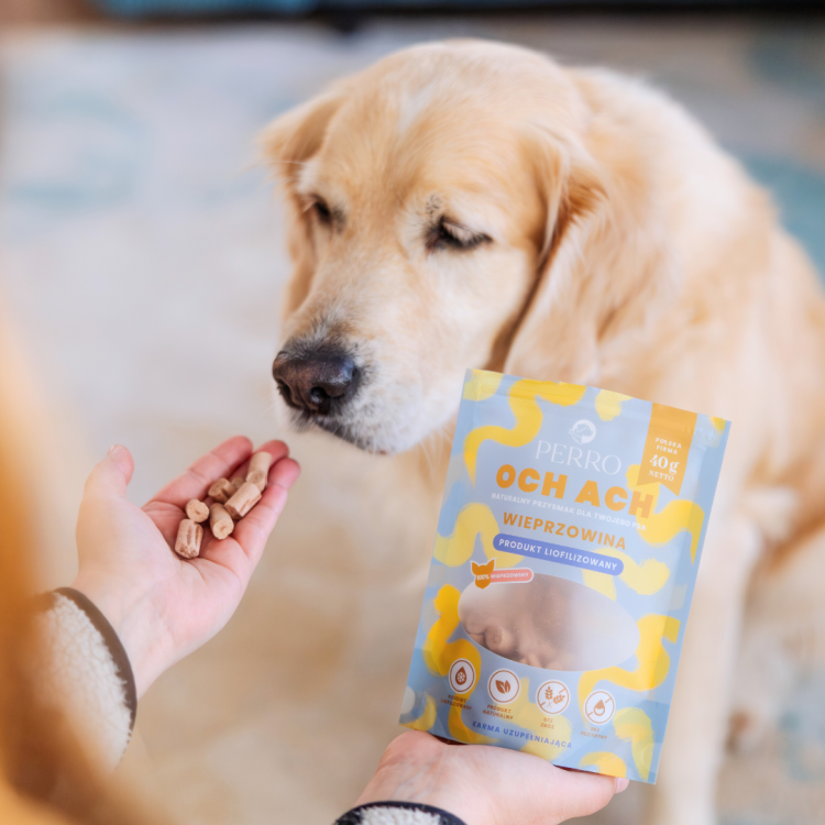 94d0379affbb21ce868192e78937b43e