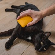 269cf100181178830bbe43038422181e