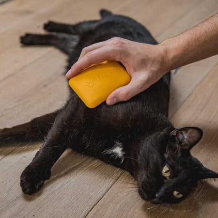 269cf100181178830bbe43038422181e