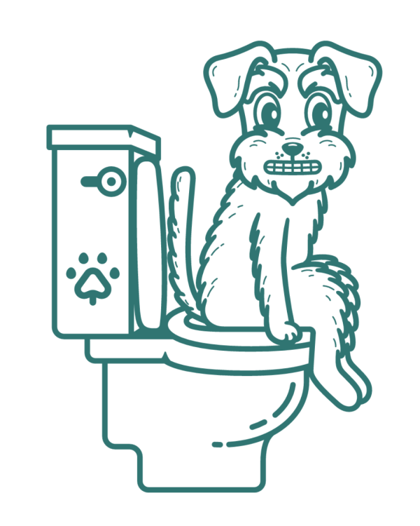 f6b1d764bd1a3cf05398f9c1e329a9ab