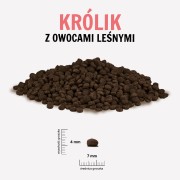 KROLIK-OWOCE-LESNE.jpg