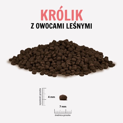 KROLIK-OWOCE-LESNE.jpg