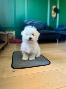 3c180f681667d2169c742dc126a9b810