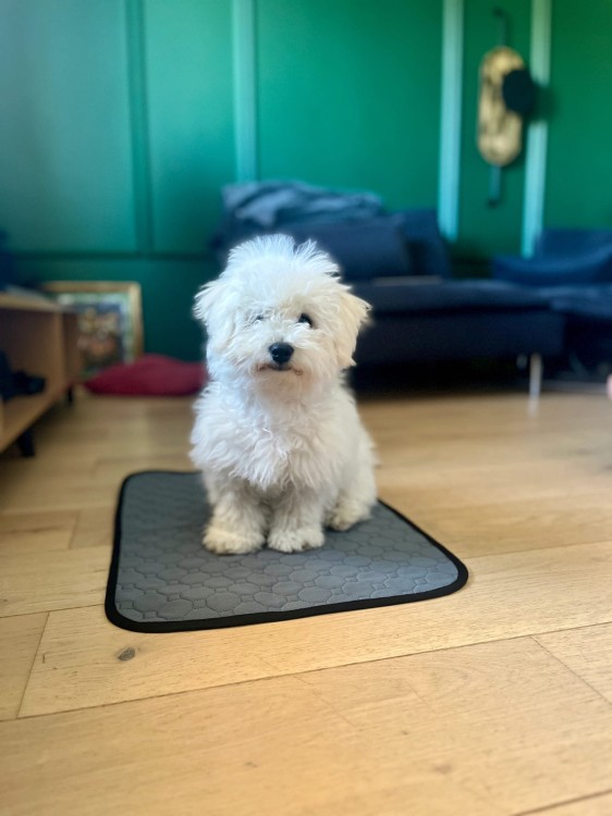 3c180f681667d2169c742dc126a9b810