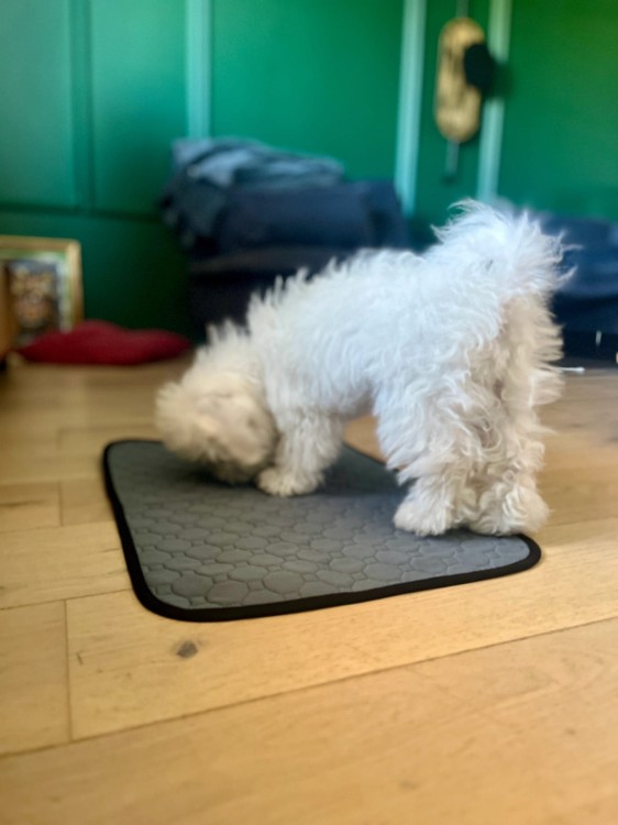 b8778b9755becee4b15d58663a45d989