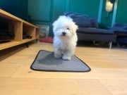 f4acce3bbbf9ca9df70d995e62e06d28