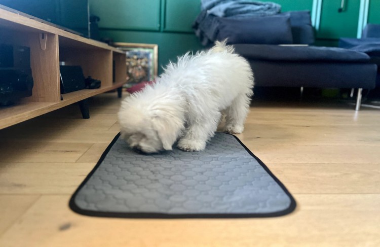 53bd148f51c39d9878c509fa7b10945c