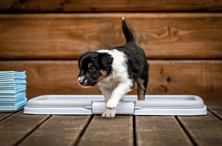 1c2e7911da1d12fe5df7ecd2502accb3