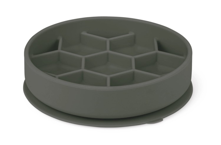 8ddf073924209e44f7f1875481d86a26