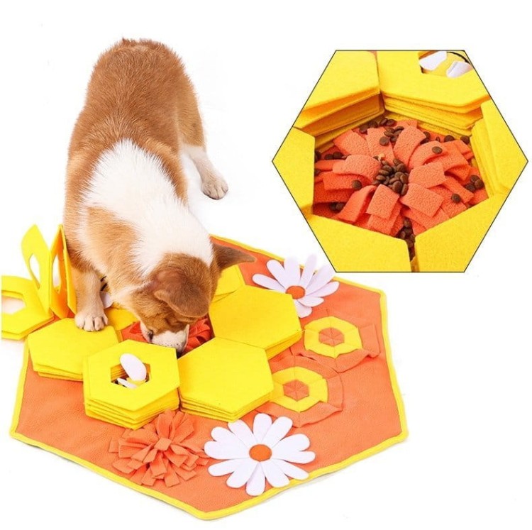 5acf2b2f3fa003a02e236a3b1b6385bc