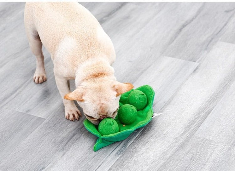 65ea07da0315c709a8a3b7903cc31e24