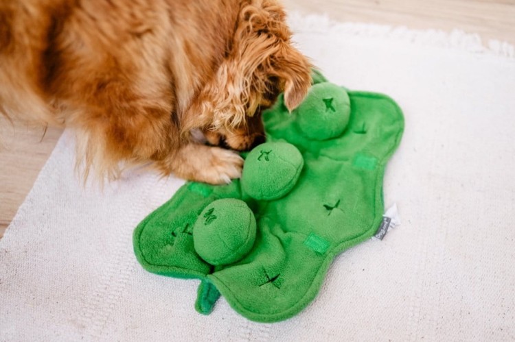 e785f23dfed29ce333389357f32af2c7