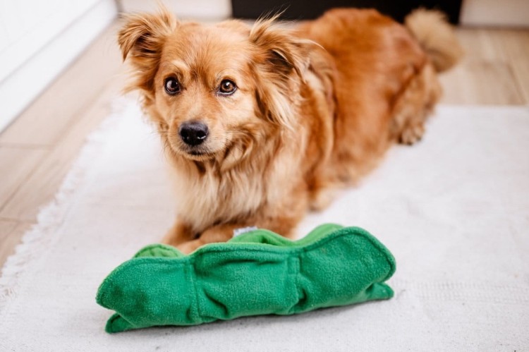 b836659b84643e1b3b8366f1d1a6806a