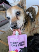 e76729a653edcd13a26b28db01ed6311