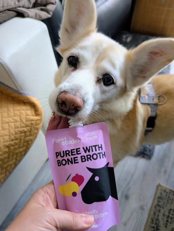 2c73fbe3b3764fddd73d672bd8f5da64