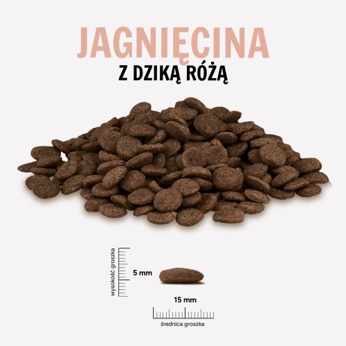 JAGNIECINA-ROZA.jpg