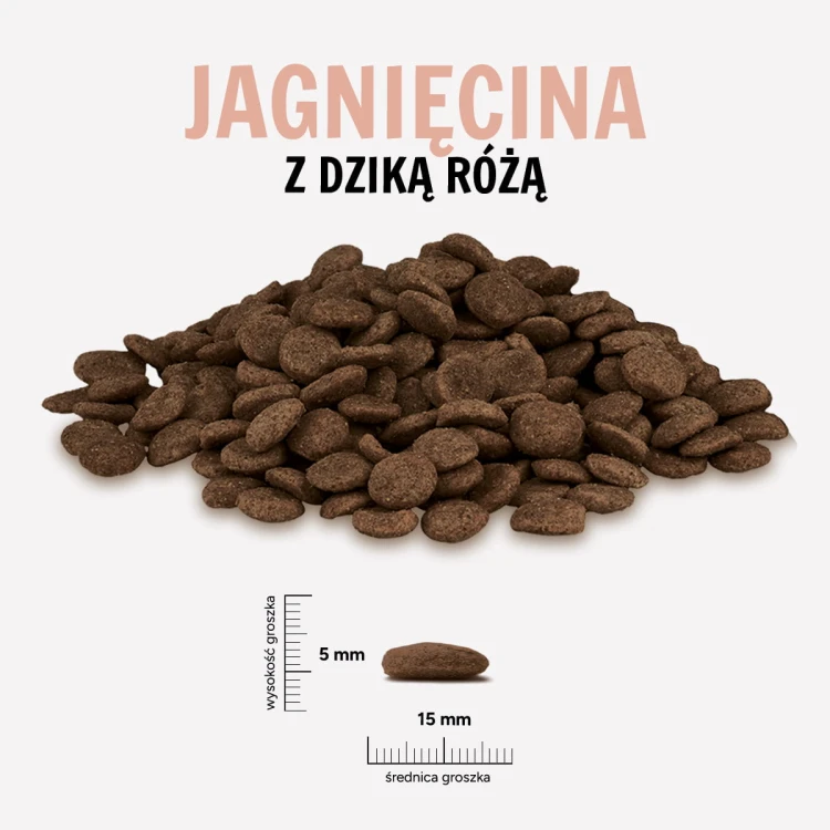 JAGNIECINA-ROZA.jpg